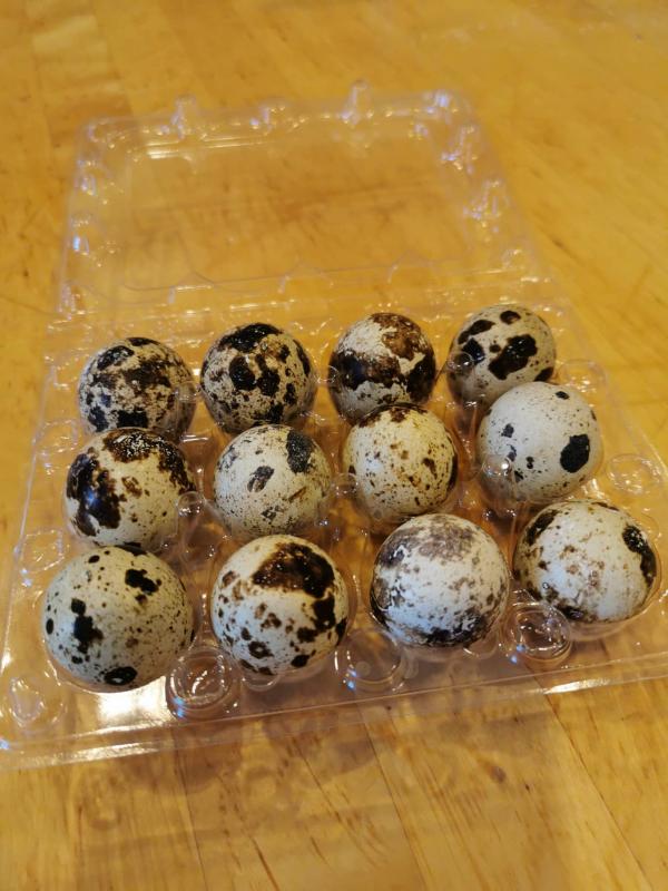 Quail Eggs, come in 1 dozen cartons. 